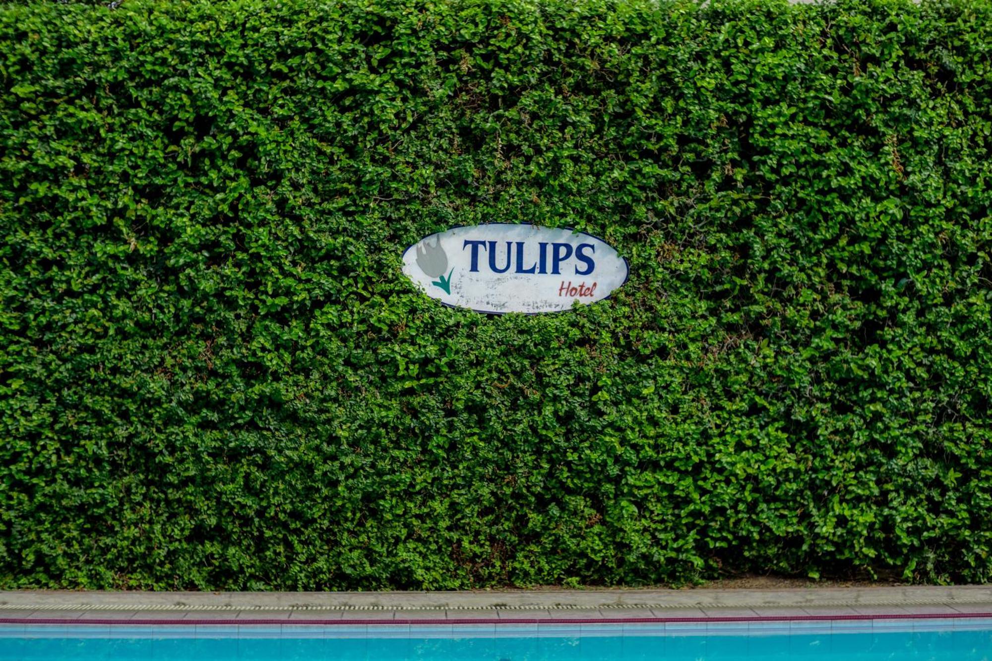 Hotel Tulips Yogyakarta Exteriér fotografie